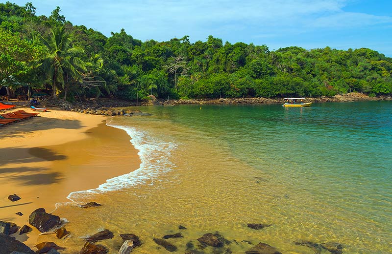 jungle beach Image 2