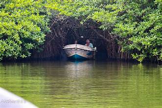 koggala lake Image 1